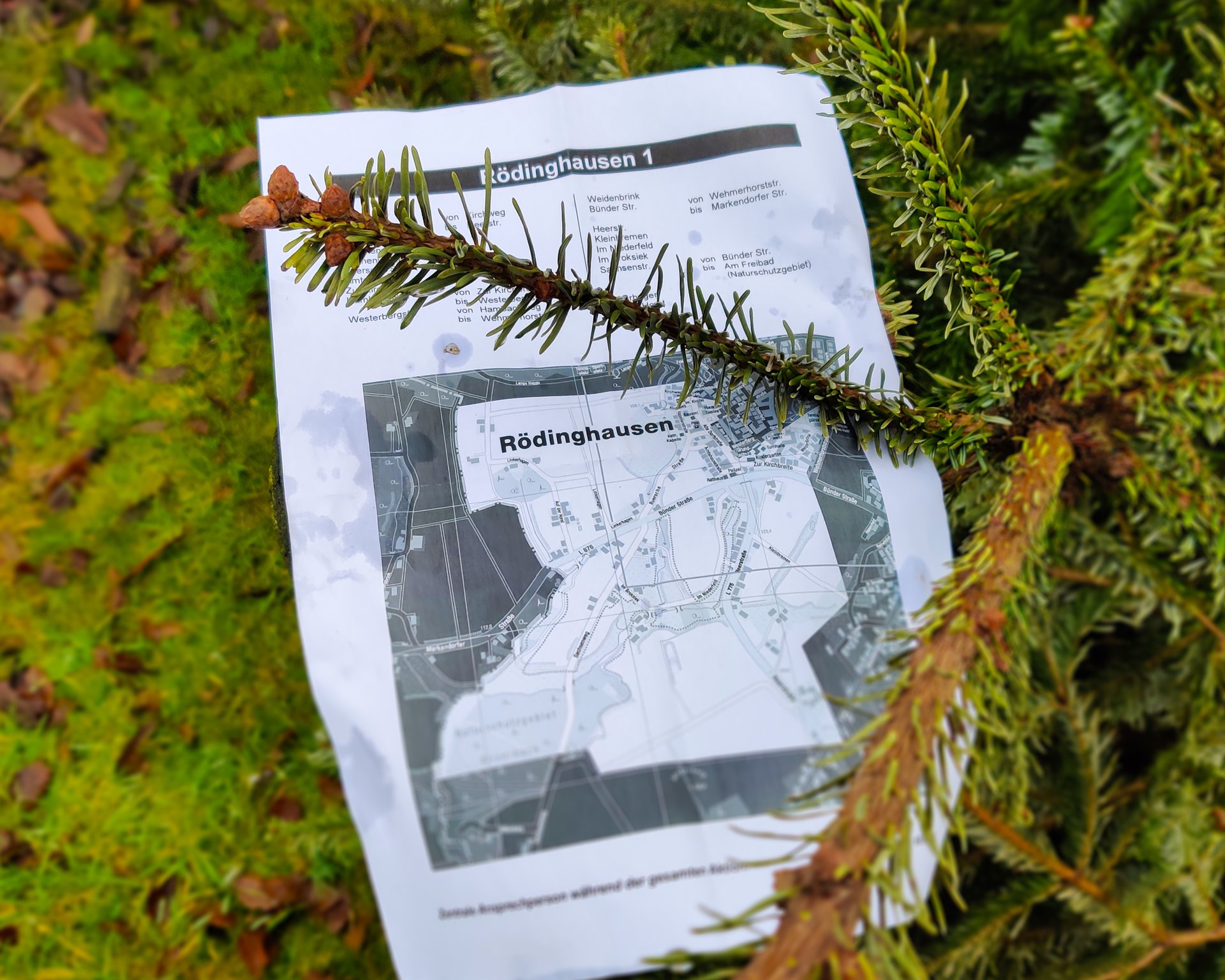 CVJM Westkilver e. V. Trotz Einschränkungen Aktion „Nadelnder